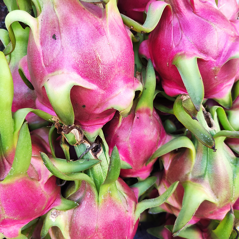 Thanh long ruột trắng (1 trái)